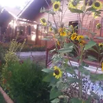 Lejlighed Charming In Matas With Pool And Jacuzzi Mata (Fornos de Algodres)