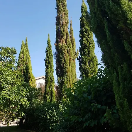 Charming In Matas With Pool And Jacuzzi Lejlighed