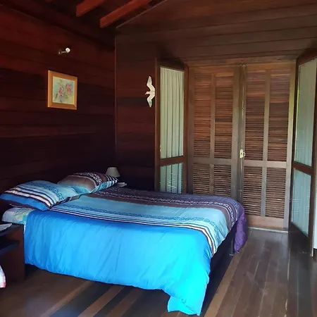 Charming In Matas With Pool And Jacuzzi Mata (Fornos de Algodres)