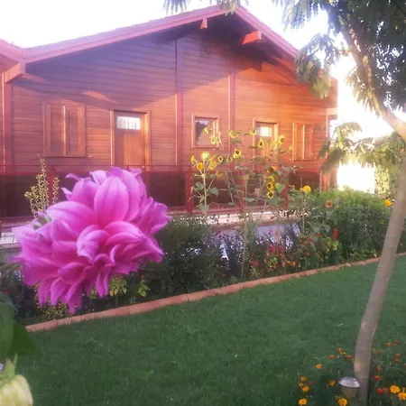 Apartamento Charming In Matas With Pool And Jacuzzi *