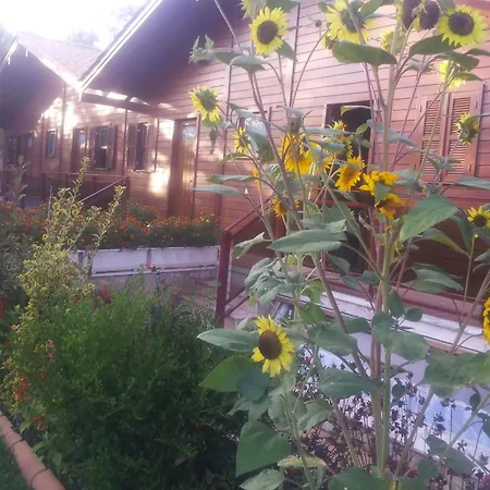 Апартаменты Charming In Matas With Pool And Jacuzzi Mata