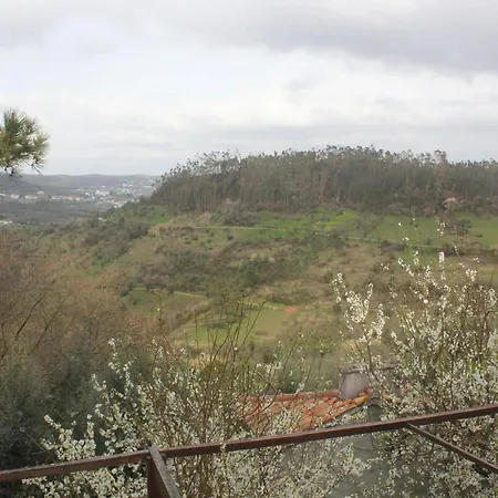 Charming In Matas With Pool And Jacuzzi Apartment Mata (Fornos de Algodres)