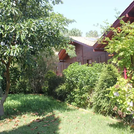 Charming In Matas With Pool And Jacuzzi Apartment *