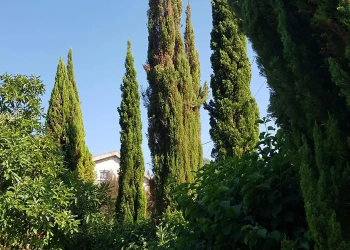 Charming In Matas With Pool And Jacuzzi Apartment