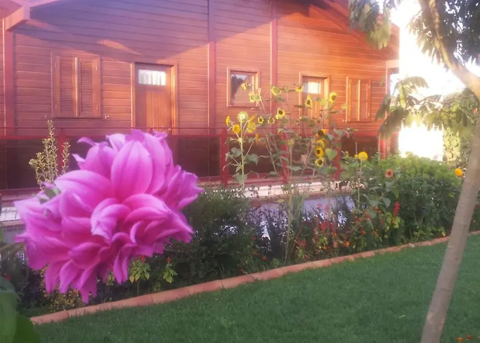 Apartament Charming In Matas With Pool And Jacuzzi *