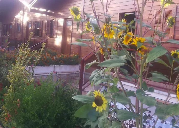 Apartment Charming In Matas With Pool And Jacuzzi Mata (Fornos de Algodres)