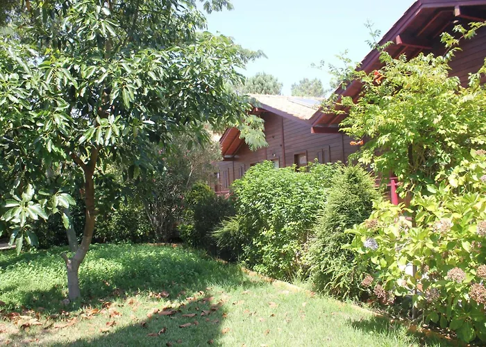 Charming In Matas With Pool And Jacuzzi Apartment *